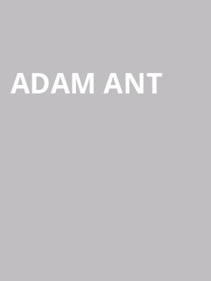 Adam Ant at Royal Albert Hall